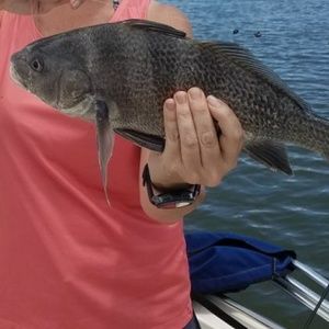 Meet your Posher, Keya